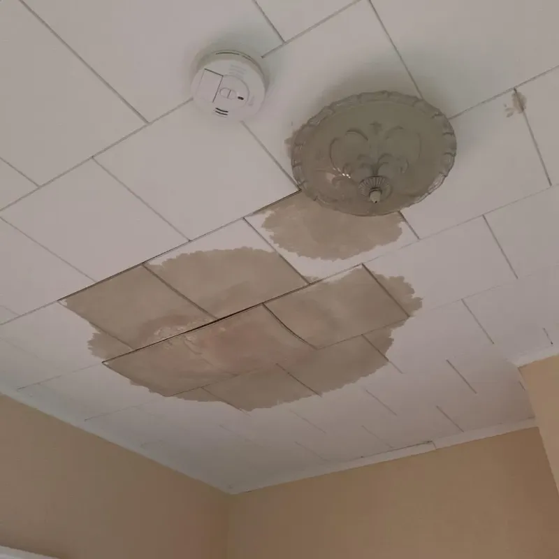 Ceiling Water Damage Repair in Rose Hill, KS