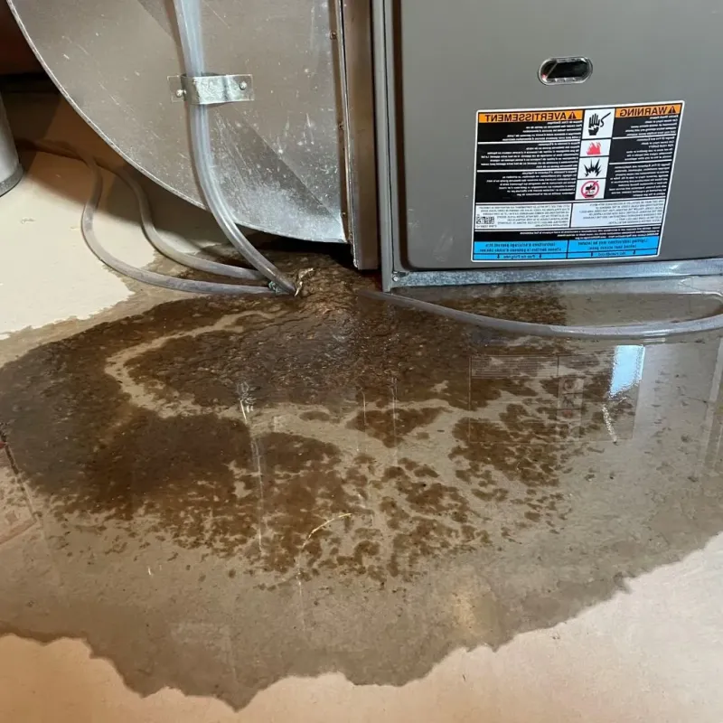 Pipe Burst and Leak Restoration in Rose Hill, KS