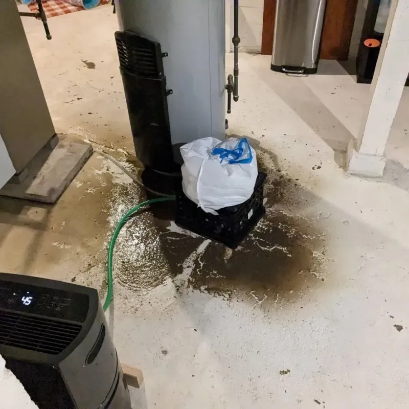 Sewage Backup Cleanup Service in Rose Hill, KS